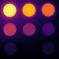 Fluorescence image of an ICG-equivalent concentration sensitivity phantom