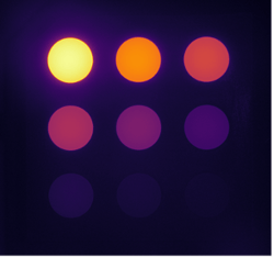 conc_target_correct