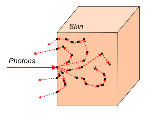 Monte carlo photon transport illustration depicting tissue scattering and absorption.