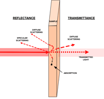 Animation illustrating optical transmission, scattering, and absorption in a tissue-mimicking sample. 