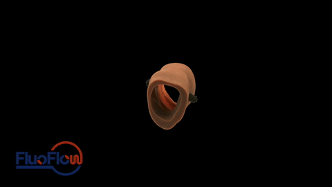 Animation showing Gaussian Splat of the Prototype FluoFlow Colon Phantom