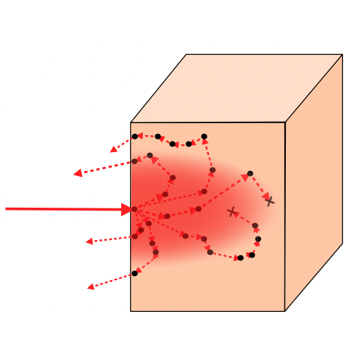 Diagram of photon paths in tissue model