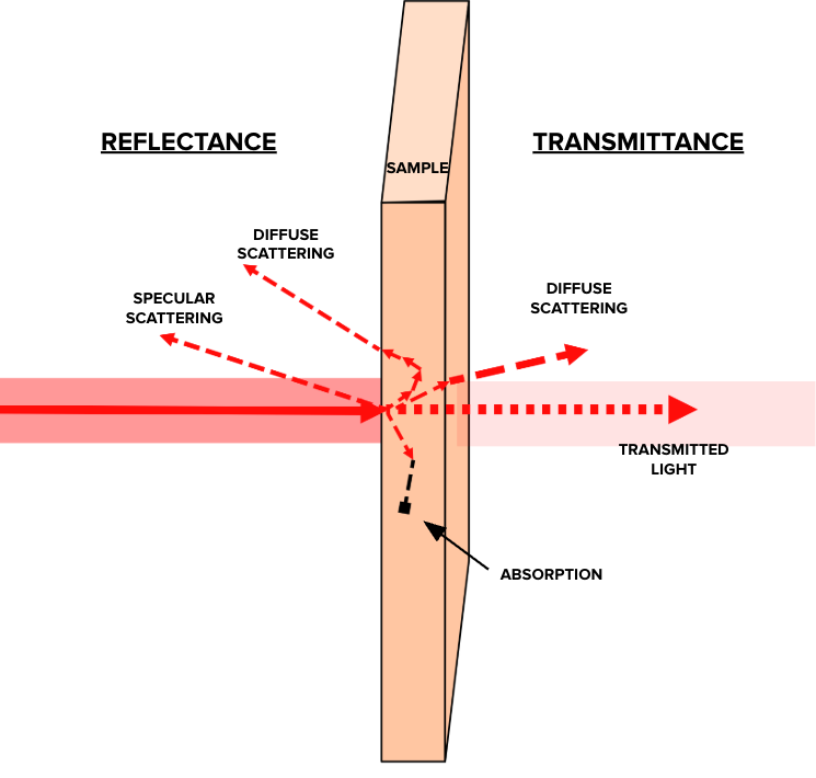Animation illustrating optical transmission, scattering, and absorption in a tissue-mimicking sample.